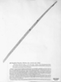 Graphiola phoenicis image